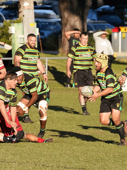 Hastings Valley Vikings Port Macquarie Rugby Union Club
